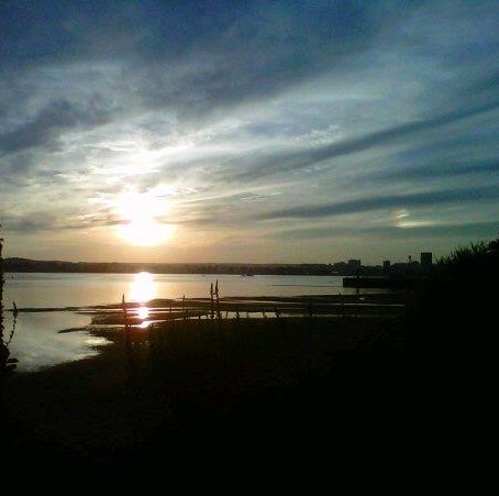 Cynthia Dell Photo 15