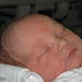 Lawrence Price Photo 21