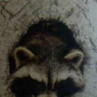 Dale Potts Photo 10
