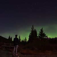 David Arney Photo 8