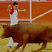 David Cortes Photo 28