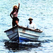 Anne Forbes Photo 12