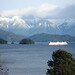 Patty Howe Photo 18