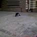 Scott Crow Photo 24