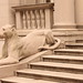 Wister Stone Photo 4