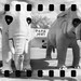 Stephen Schafer Photo 31