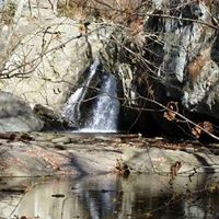 Steve Bittner Photo 6