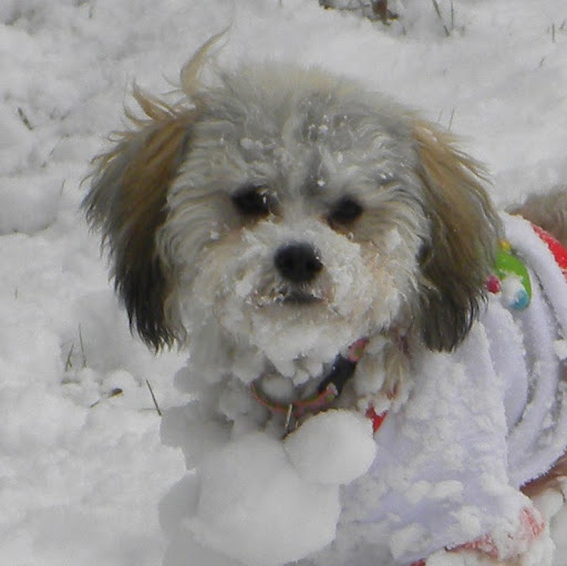 Beth Whitman Photo 8