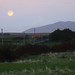 Patrick Moon Photo 22