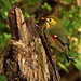 Bill Robins Photo 15