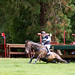 William Fox Photo 7