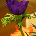 Sammie Flowers Photo 12