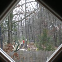 Sandy Stratton Photo 37
