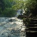 Susan Cornell Photo 43