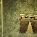 Joyce Stone Photo 11