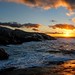Peggy Black Photo 11
