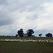 Donald Paddock Photo 10