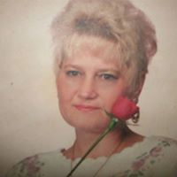 Sandra Gallimore Photo 21