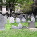 Elizabeth Dawes Photo 24