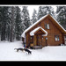 Traci Winters Photo 20