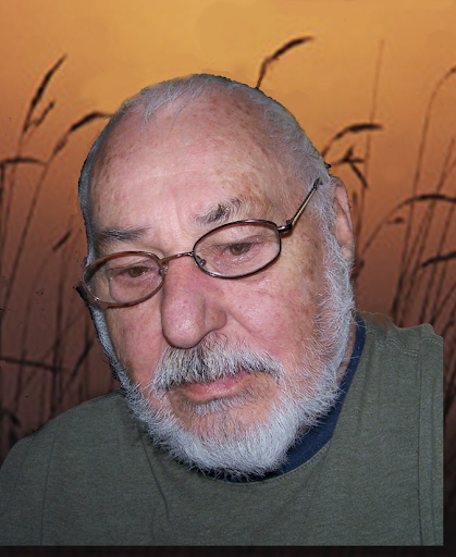 Charles Greenlee Photo 24