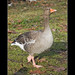James Bean Photo 30