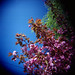 Christopher Cherry Photo 27