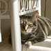 Lily Sun Photo 21