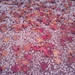 Sarah Mansell Photo 7