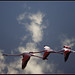 Mark Ruber Photo 9