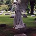 Angel Gore Photo 16