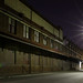 Adelaide Long Photo 8