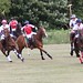 Thomas Hodge Photo 18
