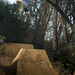 Justin Rowland Photo 45