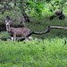Teresa Parks Photo 22