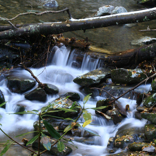 David Hurley Photo 12