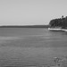 Rayburn Free Photo 4
