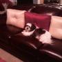 Janice Ray Photo 16