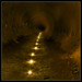 Timothy Rust Photo 14