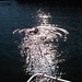 Jordan Bates Photo 27
