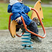 Greg Quick Photo 28