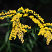 Bill Hamby Photo 19