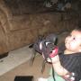 John Huntington Photo 6