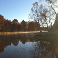 Denice Parks Photo 24