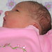 Ann Becker Photo 34