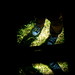 Deborah Converse Photo 17