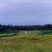 Tanna Deal Photo 5