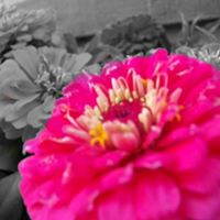 April Rains Photo 7