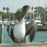 Terri Janes Photo 5