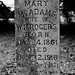 Mary Mcadams Photo 10
